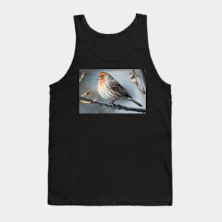 Finch in the cold Tank Top